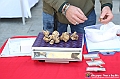 VBS_4170 - Fiera Nazionale del Tartufo Bianco 2024